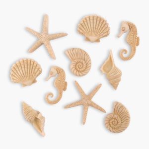 Botones Creativos- Beach Beauties
