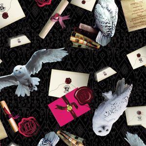 HARRY POTTER OWL POST