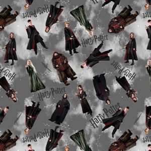 HARRY POTTER CHARACTERS GRAY